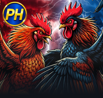 Cock Fight PHI